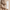 GLYNT Mangala Colour Treatmant -Beige Blond-