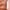 GLYNT Mangala Colour Treatmant -Rosegold-